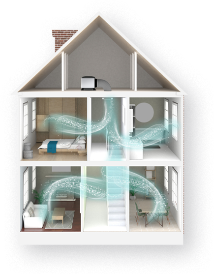 Healthy home